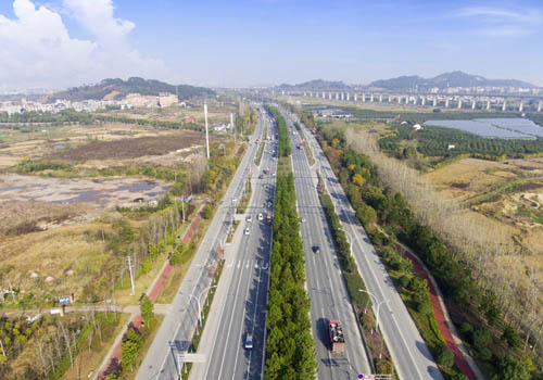 义乌市四海大道(森林通道)景观工程